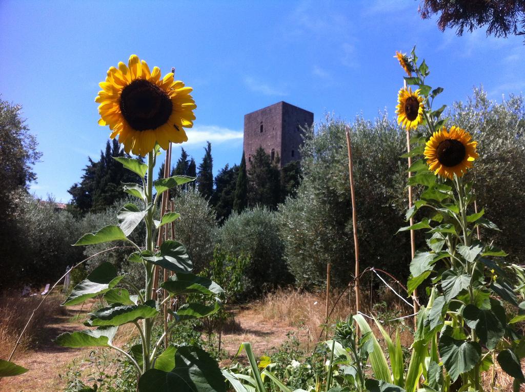 Torre Dei Belforti 몬테카티니발디세시다 외부 사진